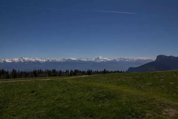 Beautiful Green Field Alpine Mountains Distance Blue Sky Vercors — Fotografia de Stock