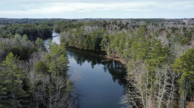 A scenic view of a river flowing across the forest