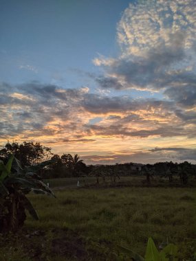 A beautiful view of a green field under the blue cloudy sky during sunset