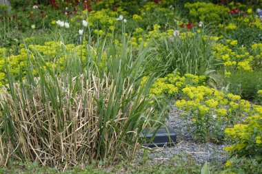 Place Hildesheim, Lower Saxony, Germany, use as background, wallpaper