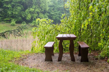 Arboretum of Csacs, Zalaegerszeg, Macaristan 'da koltukları olan bir masaya yakın çekim.