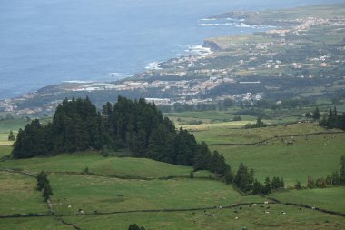 Portekiz 'deki Azores adası Sao Miguel' in güzel manzarası.