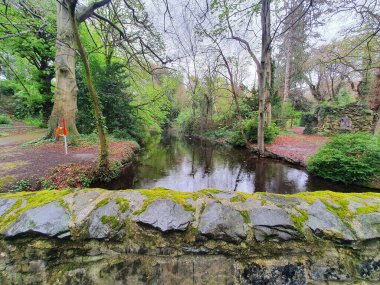 A beautiful landscape of a small river in the park