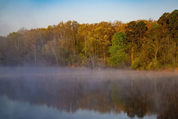 A beautiful line of autumn trees in a forest with a water reflection in the lake