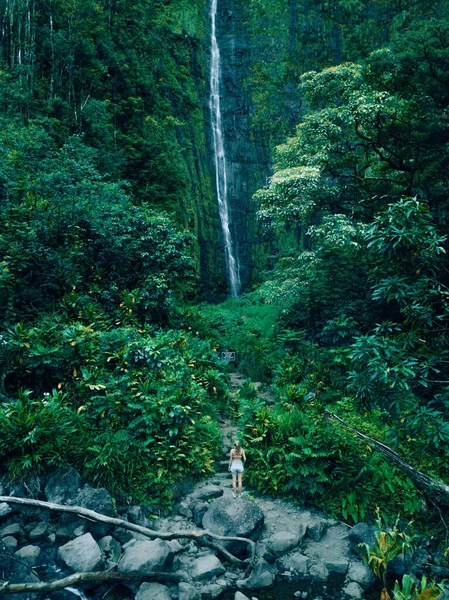 Vertical Shot Honokohau Waterfall Flowing Green Mountains Maui Hawaii — Stock Photo, Image