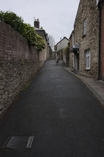 Vertical Shot Asphalt Street Stone Old Walls Hanging Trees Light — Fotografia de Stock