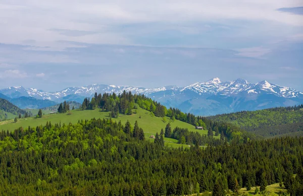 Paisagem Passo Tihuta Romênia Com Topo Das Montanhas Cobertas Neve — Fotografia de Stock