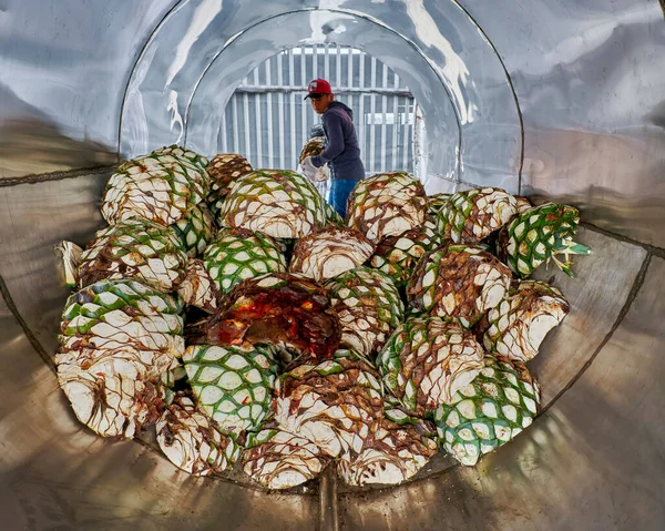 Oven Full Agave Ready Start Steaming — Stock Photo, Image