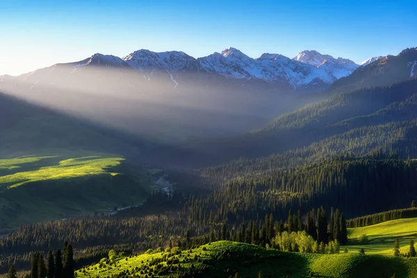 Hermoso Paisaje Escénico Verdes Prados Pinos Contra Verdes Montañas Día —  Fotos de Stock