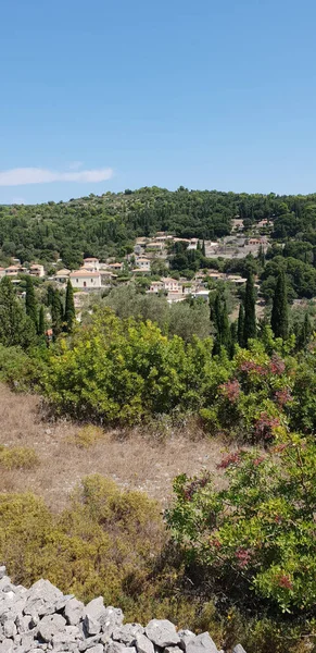 Plan Vertical Bâtiments Entourés Arbres Avec Fond Ciel Sans Nuages — Photo