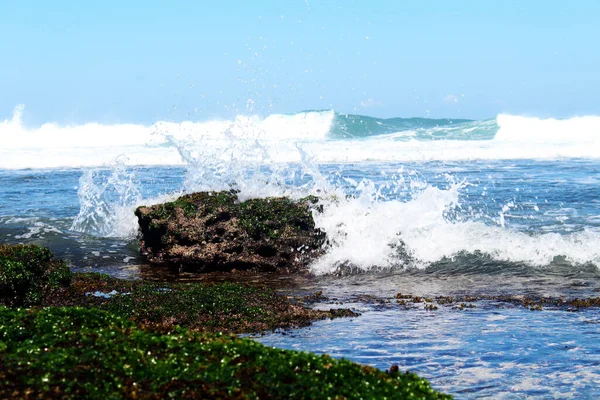 Kamień Plaży Pokryty Mchem Falami Oceanicznymi Tle — Zdjęcie stockowe