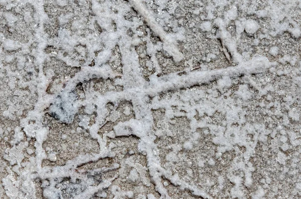 Close Crystallized Salt Ground Natural Desert — Stok fotoğraf