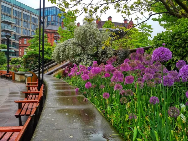 Día Lluvioso Peace Gardens Sheffield Reino Unido — Foto de Stock