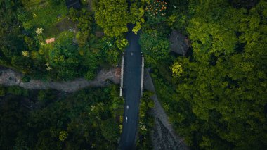 An aerial view of a road leading through green forests and fields