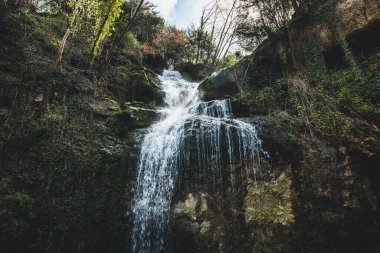 Ormanda güzel bir şelale
