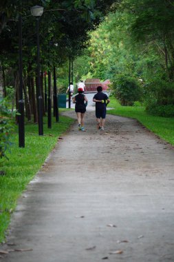 couple of joggers along a path