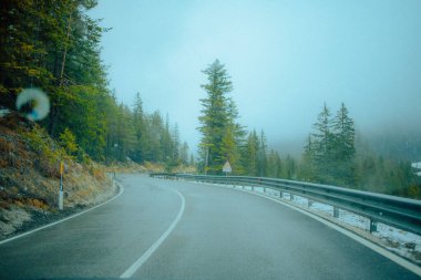 A curvy road on the hill surrounded by trees in South Tyrol, northeast Italy