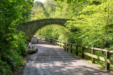 Arched bridge over the path and the Ouseburn river at Jesmond Dene, Newcastle upon Tyne, UK.