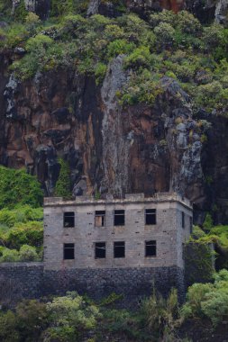 An abandoned brick house surrounded by green lush forest in the cliffs of Madeira