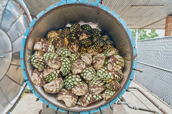 Ananas Agave Bereits Geschnitten Und Fertig Zum Kochen Ofen — Stockfoto
