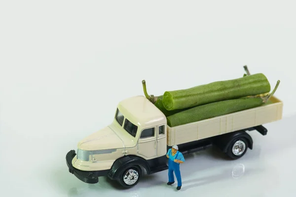 Truck Driver Stands Next His Truck Loaded String Beans Top — Foto de Stock