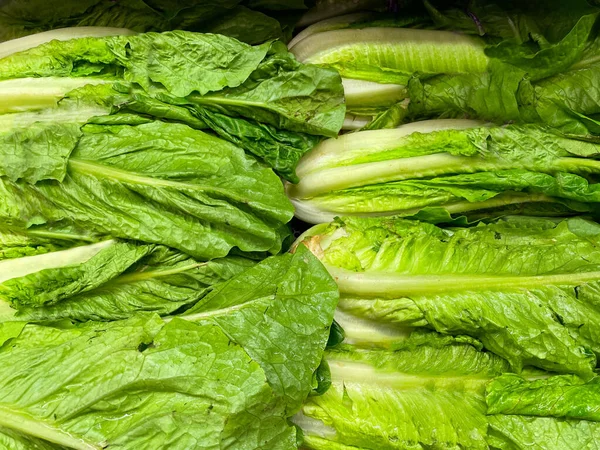 Augusta Usa Retail Store Fresh Produce Green Fresh Lettuce — Fotografia de Stock