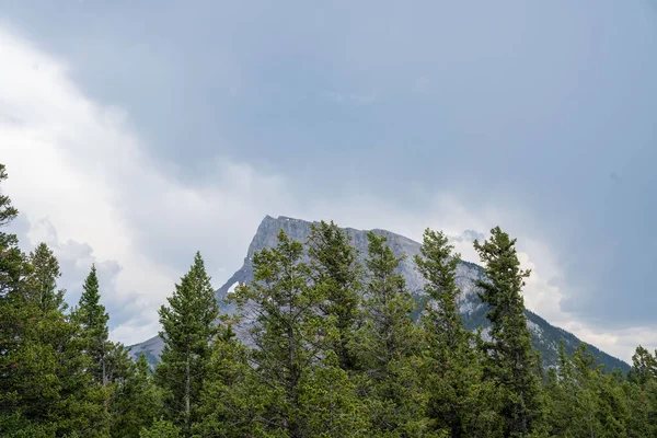 Uma Bela Foto Pinheiros Verdes Com Uma Montanha Rochosa Fundo — Fotografia de Stock