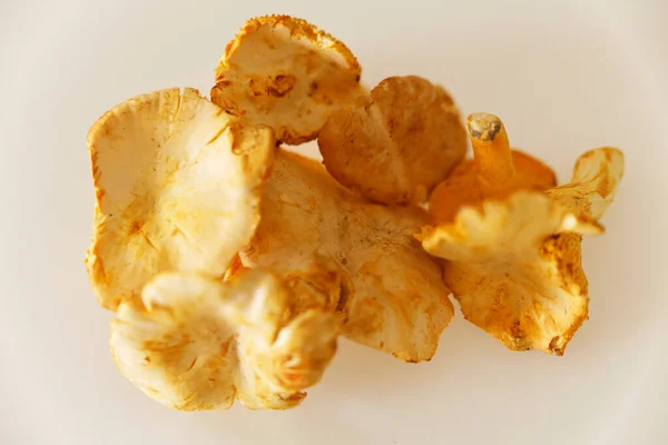 Closeup Pfifferlinge Chanterelle Mushrooms White Surface —  Fotos de Stock