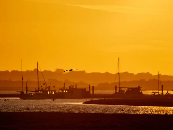 Some Seagulls Flying Backwater Walton Naze Background Ships Mountains Colored — Stock Photo, Image