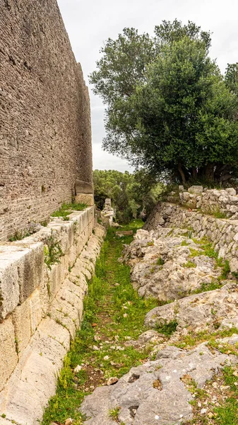 Grosseto 2022 Ruins Ancient Roman City Called Cosa Partially Covered — Stock Photo, Image