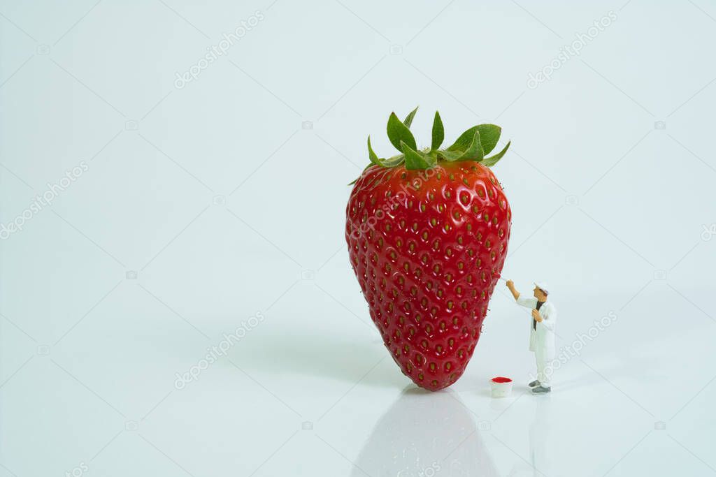 a painter paints a strawberry with a brush, white background, coppy space. Concept: healthy raw food