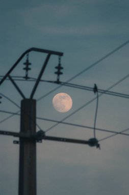 Güzel dolunayın arka planında, tahta üzerine sokak kablolarının dikey görüntüsü.