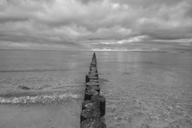 A grayscale shot of a line in the Baltic sea with the stones under cloudy sky