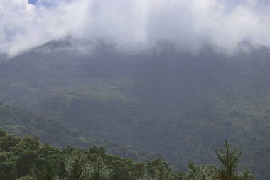 A beautiful landscape of green forested mountains in the mist