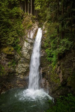 Kayaların üzerinden akan küçük bir şelalenin dikey görüntüsü.