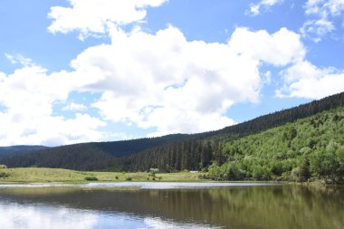 Bulutlu bir gökyüzünün altındaki ağaçlarla çevrili sakin bir göl manzarası.