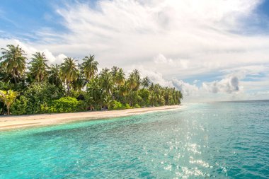 A beautiful sandy beach with azure water and palm trees on a sunny day