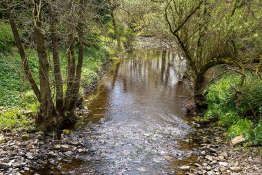 A peaceful spot by a Northumbrian river in Spring. Concept of getting away from it all
