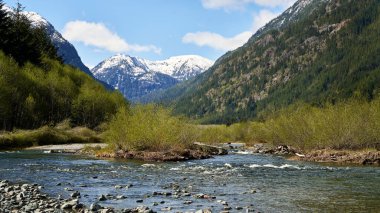 Sığ bir derenin güzel manzarası, parlak yay çalıları ve uzak karlı dağlara bakan yoğun kozalaklı ormanlar..