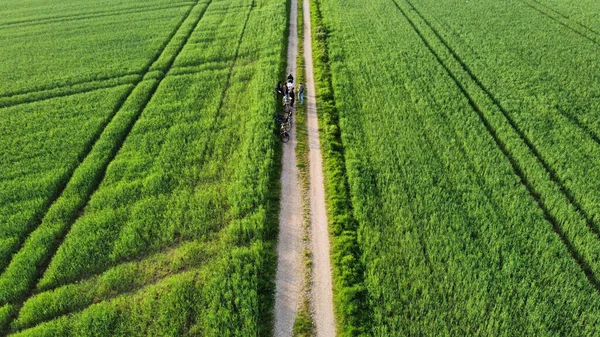 Aerial View Narrow Path Cyclists Surrounded Green Grass Both Sides — Zdjęcie stockowe