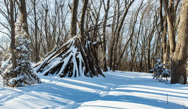 鬱蒼とした森に囲まれた雪原の眺め — ストック写真