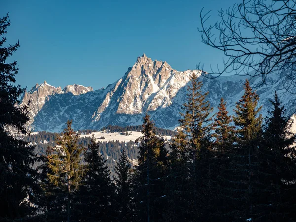 Majestic Aiguille Midi Mountain Alpine Trees Foreground — Zdjęcie stockowe