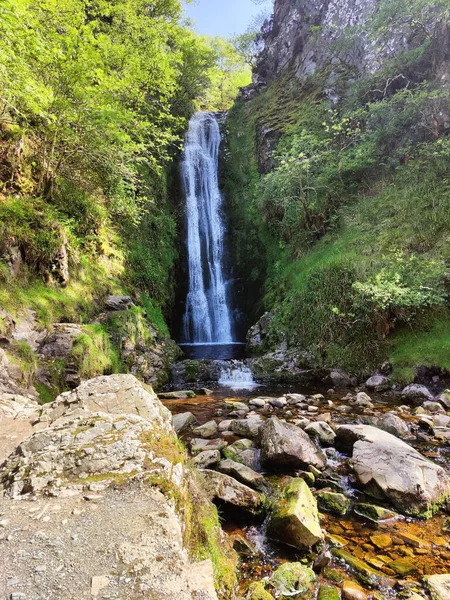 Vertical Shot Flowing Waterfall Rocks Surrounded Trees — Foto de Stock