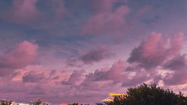 Cloudy Purple Sunset Sky Trees Summer — Foto de Stock