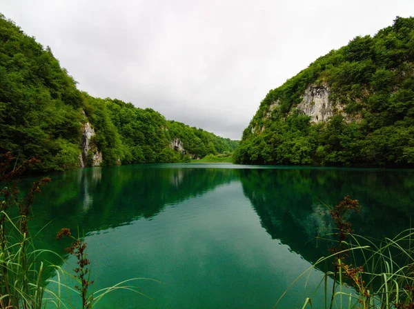 Pemandangan Hutan Taman Nasional Plitvice Lakes Tengah Kroasia — Stok Foto