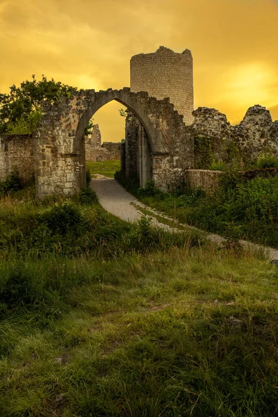 A beautiful vertical landscape of an old castle ruins in Germany