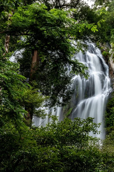 Vertical Shot Waterfall Thailand Tropical Forest — Stock Photo, Image