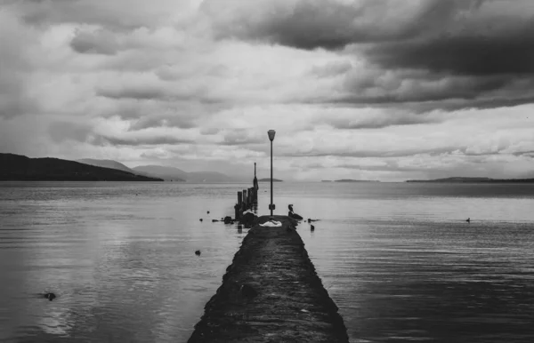 Grayscale Shot Pole Shore Cloudscape Lake — Stock Fotó