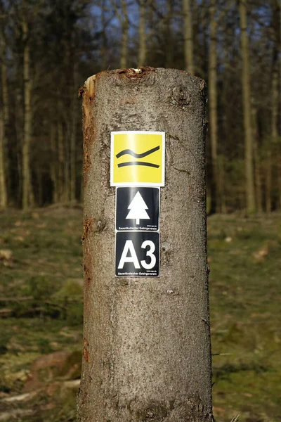 Februar 2022 Ruckersfeld Nrw Wandersymbole Einem Gefällten Baumstamm Siegerland — Stockfoto