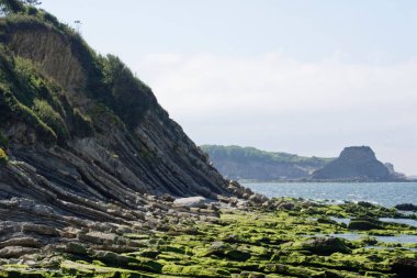 Mavi gökyüzünün altında yosunlu taşlarla güzel bir deniz manzarası.